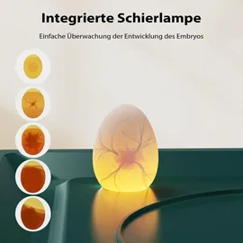 fudajo Vollautomatischer Flächenbrüter für 15 Eier 40 W