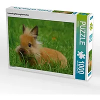 Calvendo Puzzle Löwenkopf Zwergkaninchen 1000 Teile Puzzle quer |