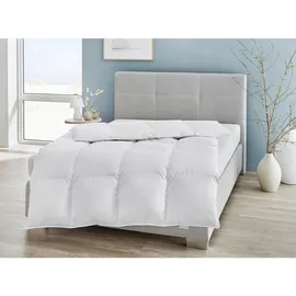 REGINA HOME SLEEP LIVING EST. 1967 Daunendecke, Weiß, Textil, Füllung: Daunen, Federn, 200x200 cm, Oeko-Tex® Standard 100, Schlaftextilien, Bettdecken, Daunendecken