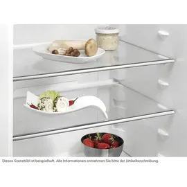 AEG SKE810E1AF Einbaukühlschrank (176 l, 1027 mm hoch)