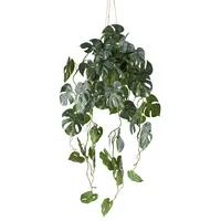 Creativ green Kunstpflanze Philodendron varigata«, mit Hängetopf Creativ green