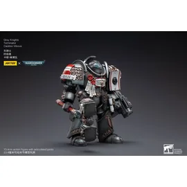 Warhammer Grey Knights Terminator Caddon Vibova 13 cm