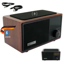 Schwaiger 715729 Radio