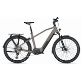 Kalkhoff Entice 7.B Move+ 2022 27,5 Zoll RH 58 cm Damen moonstone grey matt