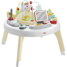 Fisher-Price HBM26 Babyhüpfschaukel Mehrfarbig