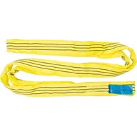 Stier Rundschlinge 6m Polyester 3000kg Tragkraft