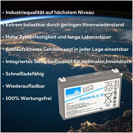 Sonnenschein / Exide A506 6V 6500 mAh 1 St.