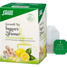 SALUS Ingwer Zitrone Kräutertee/Früchtetee 15x2 g