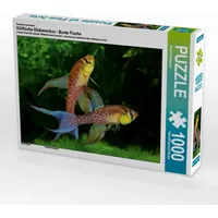 Calvendo Puzzle Terranatos dolichopterus - VENEZUELA 1000 Teile Lege-Größe