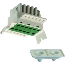 RIDI Netzeinspeisung VLNE-11S