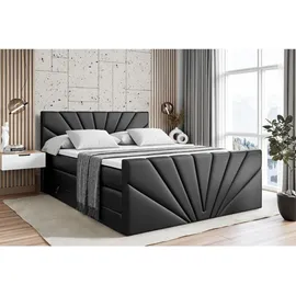 altdecor Miltio-Z King 160 x 200 cm H3/H4 Schwarz Hochglanz