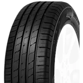 MINERVA Ecospeed 2 SUV 255/45R20 105Y XL