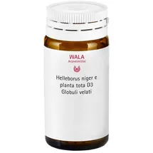 Wala Helleborus Niger e planta tota D3