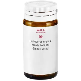 Wala Helleborus Niger e planta tota D3
