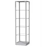 ALBO Glasvitrine mit Höhenverstellbaren Glasböden | 50 x 46 x 190 cm | Wohnzimmerschrank Sammlervitrine Vitrinenschrank (Grau)
