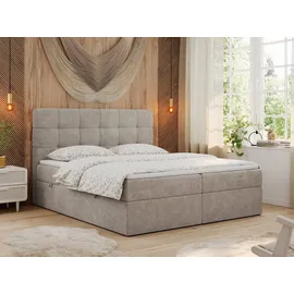 MKS Meble Boxspringbett 140 x 200 cm H3 Beige