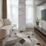 ECOMMERC3 Babek Teppich für Wohnzimmer, Kurzflor, Grau, 160 x 230 cm, mit Velours-Gefühl, weicher Teppich aus Baumwolle und Polyester, hohe Dichte, leicht zu reinigen