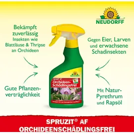 NEUDORFF Spruzit AF Orchideen Schädlingsfrei Insektizid 250 ml