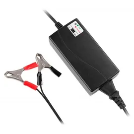 Blei Akku 12V 20000 mAh 1 St.