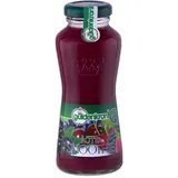 Güldenkron Smoothie Rot Fruchtsaft Püree und Konzentrat 15x200ml