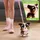 Just Play Hasbro FurReal Friends Walk-A-Lots Bernadoodle 20 cm mehrfarbig