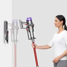 Dyson V11 Fluffy nickel/rot