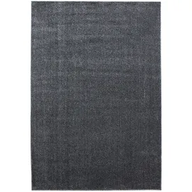 Ayyildiz Ata Kurzflorteppich 160 x 230 cm grau