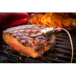 HerQs-Sonden – Edelstahlsonden für Grillthermometer – digital – kabellos