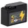 Landport AGM SLA 12V 2300 mAh 1 St.