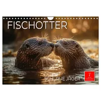 Calvendo Fischotter - schlaue Jäger (Wandkalender 2026 DIN A4