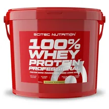 Scitec Nutrition 100% Whey Protein Professional Banane Pulver 5000 g