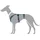 Hunter Maldon Hundegeschirr petrol/grau XS-S