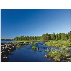 Artland Alu-Dibond-Druck »Am Fluss in Finnland«, Gewässer, (1 St.), für Innen- und Außenbereich geeignet, Outdoorbild Artland Farbe Bild(er): blau