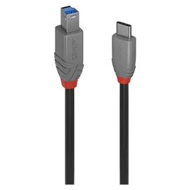 Lindy USB-C auf USB-B 1,0 m Schwarz