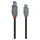 Lindy USB-C auf USB-B 1,0 m Schwarz