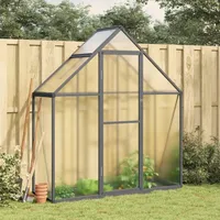 Faroom Aluminium Gewächshaus für den Garten 169 x 58 x 195 cm mit Fundamentrahmen, Gewächshaus Glas, Treibhaus, Tomatenhaus, Frühbeet, Pflanzenhaus Anthrazit und Transparent