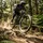 RockShox Federgabel 27.5 Lyrik Ultimate Charger 3.1 RC2 27.5"Boost,15x110,150mm,44offset,DA+,sw