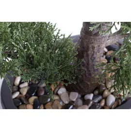 Botanic-Haus Kunstbonsai Ceder Bonsai Ceder, Botanic-Haus, Höhe 45 cm grün