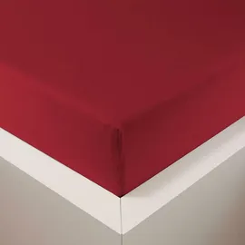 Traumschlaf Spannbettlaken Baumwolle-Jersey-Lyocell 120 x 200 cm Rubin