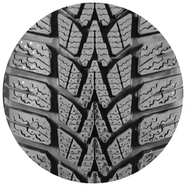 Dunlop Winter Response 2 175/65 R14 82T