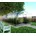 KLASIKA Gewächshaus 24m2 3m x 8m mit 4 Polycarbonatabdeckung