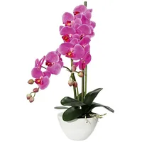 Creativ green Gasper Kunstpflanze Phalenopsis in Keramikschale, Farbe: Lila,