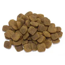 Arquivet Original Dog Adult Lachs & Reis 2 x 12 kg