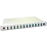 Lightwin LWL Spleißbox, 12x DSC Multimode, 50/125μm OM3 Pigtail - 19"