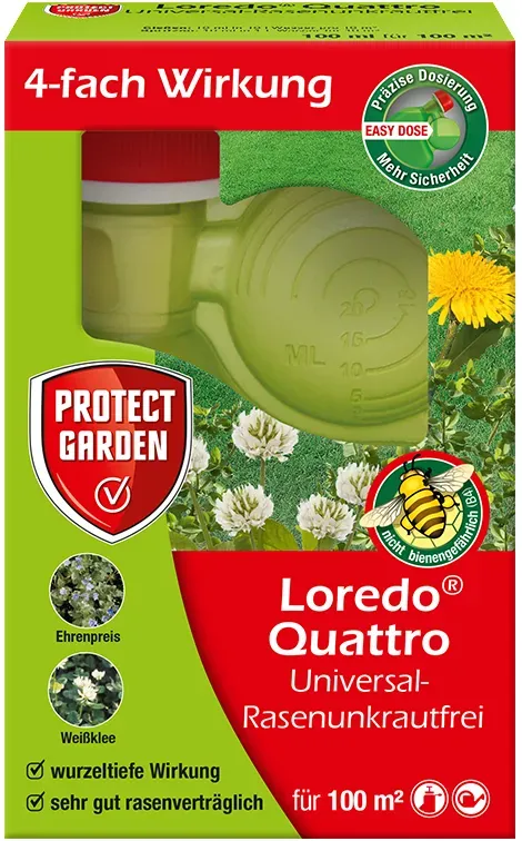 loredo quattro