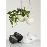 Scheurich Hanging Pot, Hängeampel aus Keramik, Farbe: Alaska, 22,1 cm Durchmesser, 16,8 cm hoch, 2,7 l Vol.