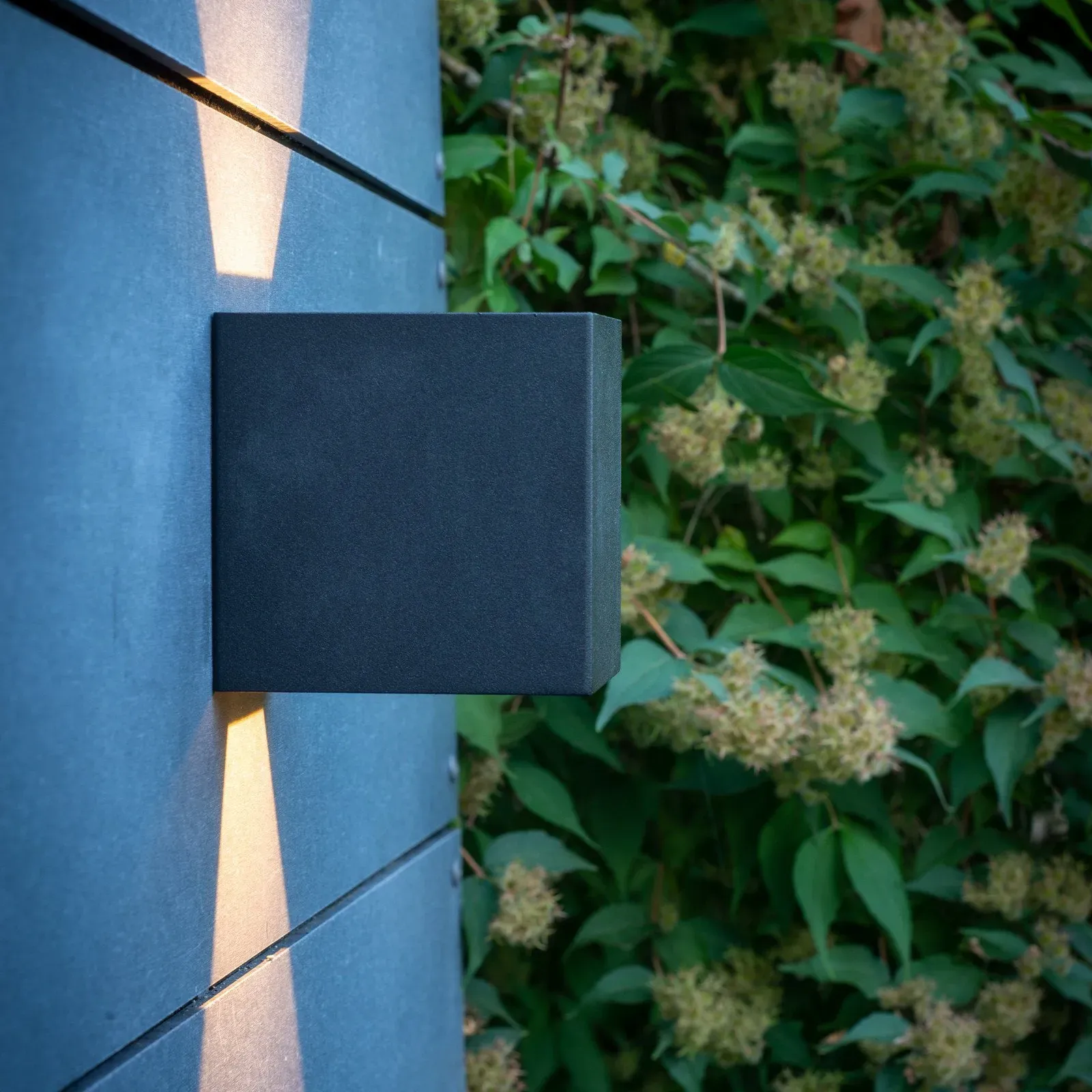 Außenleuchte Dyberg Larsen, Venus, Schwarz, Metall, Modern - 11 - 11