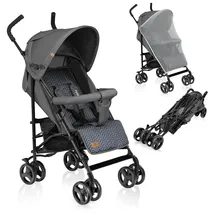 lionelo Elia graphite