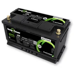 CS 150Ah | 12,8V | Lithium LiFePO4 -Caravan Batterie | Ducato Ford PSA...- 0% MwST. (Angebot gemäß §12 USt Gesetz.)
