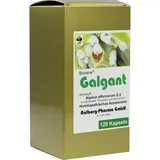 diamant natuur b. v. s.r.o. Galgant Kapseln